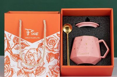 Creative imitation ceramic enamel mugs with lid (1)