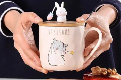 Simple cartoon imitation ceramic enamel cup with lid (4)