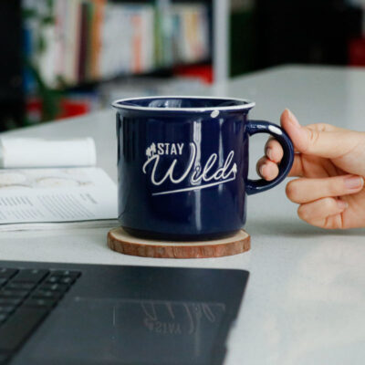 Enamel Imitation Ceramic Camp Mug